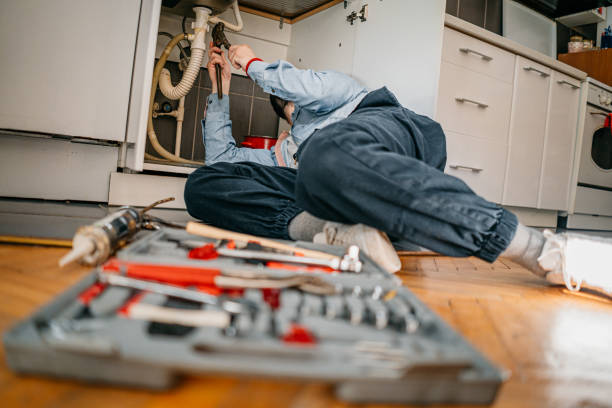 Best Plumbing Repair Near Me  in Agua Dulce, TX