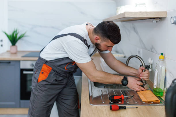 Best Water Softener Installation  in Agua Dulce, TX