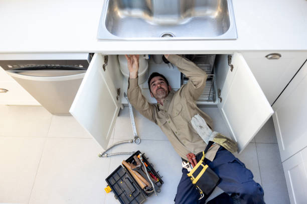 Best 24-Hour Plumber Near Me  in Agua Dulce, TX